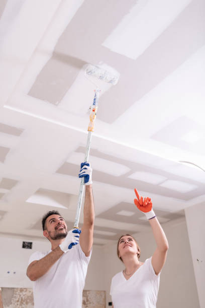 Best Mold Odor Removal Services  in Decordova, TX